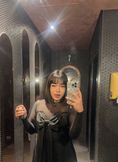 Sexy Chubby 🇹🇭 - Transsexual escort in Al Manama Photo 5 of 8