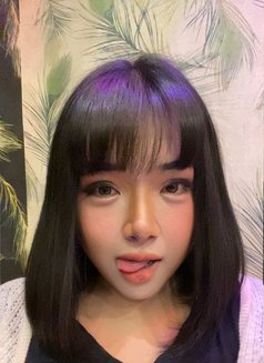 Sexy Chubby 🇹🇭 - Transsexual escort in Al Manama Photo 7 of 8