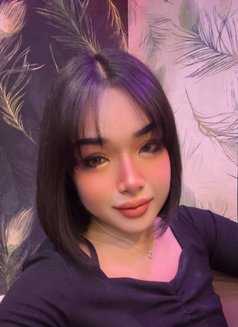 Sexy Chubby 🇹🇭 - Transsexual escort in Al Manama Photo 1 of 6