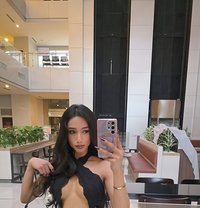 Sexy Cindy2025 - Transsexual escort in Bangkok