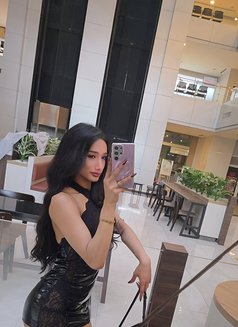 Sexy Cindy2025 - Transsexual escort in Bangkok Photo 16 of 29