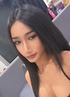 Sexy Cindy2025 - Transsexual escort in Bangkok Photo 28 of 29