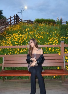 Sexy Delicious Shania last 5 days - escort in Seoul Photo 29 of 30