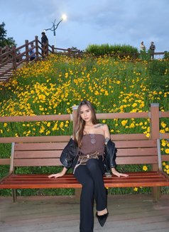 Sexy Delicious Shania last 5 days - escort in Seoul Photo 30 of 30