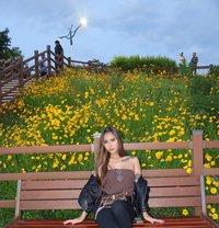 Sexy Delicious Shania - puta in Seoul