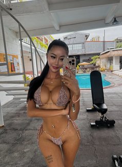 SEXY DOL WITH HARD COCK - Transsexual escort in Bali Photo 16 of 30
