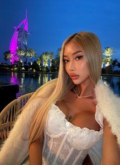 SEXY DOLL WITH HARD COCK - Acompañantes transexual in Dubai Photo 24 of 30