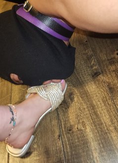 Sexy Eva - escort in Beirut Photo 14 of 14