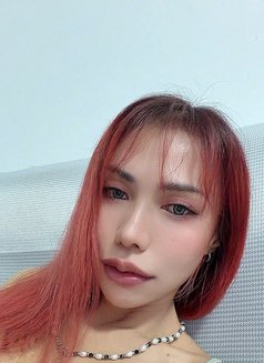 PP Sexy for You CIM 69 - escort in Phnom Penh Photo 16 of 21