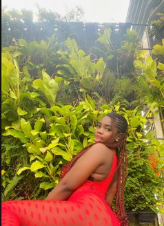 Sexy Gina 🦋 - escort in Kuala Lumpur Photo 5 of 14