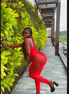 Sexy Gina 🦋 - escort in Kuala Lumpur Photo 9 of 14