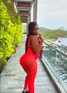 Sexy Gina 🦋 - escort in Kuala Lumpur Photo 11 of 14