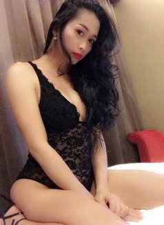 Sexy hot Ts Hazel CAM SHOW send Paypal - Transsexual escort in Dubai Photo 30 of 30