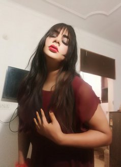 Sexy - Transsexual escort in New Delhi Photo 5 of 5