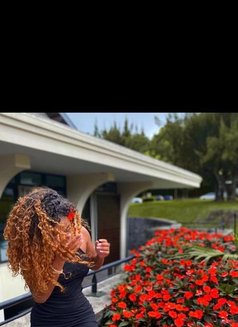 Sexy Irish - escort in Abuja Photo 3 of 3