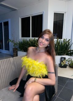 Sexy K - Acompañantes transexual in Cebu City Photo 20 of 20
