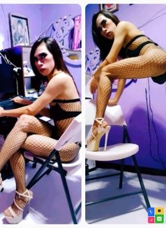 Sexy Khim - Transsexual dominatrix in Angeles City Photo 1 of 1