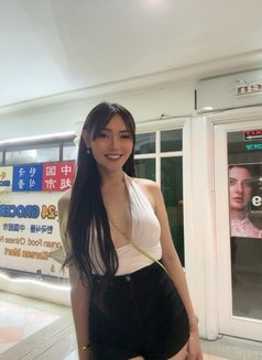Sexy Kim (Leaving soon ) - escort in Manila Photo 13 of 16