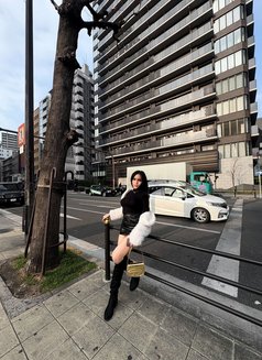 Sexy Kim - escort in Manila Photo 12 of 12