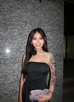 Sexy Kim (Just arrived ) - escort in Bangkok Photo 13 of 17