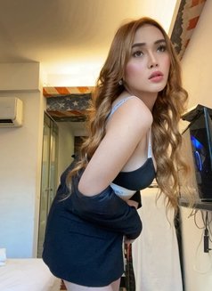 Sexy Kim (Just arrived ) - escort in Bangkok Photo 1 of 17