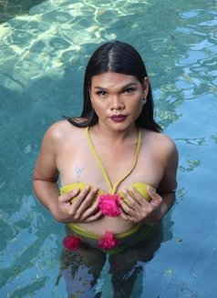 Sexy Ladyboy Big D - Acompañantes transexual in Bali Photo 7 of 8