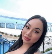 Sexy Ladyboy Bigcock - Transsexual escort in Jeddah