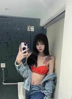 Sexy ladyboy - Transsexual escort in Shenzhen Photo 9 of 21