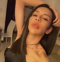 Sexy ladyboy in bangkok - Transsexual escort in Bangkok Photo 8 of 9