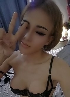 Sexy Ladyboy Minnie - Male escort in Muscat Photo 7 of 11