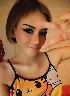Sexy Ladyboy Minnie - Male escort in Muscat Photo 9 of 11