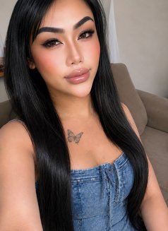 Sexy Ladyboy Nabi - Masajista in Al Manama Photo 5 of 6