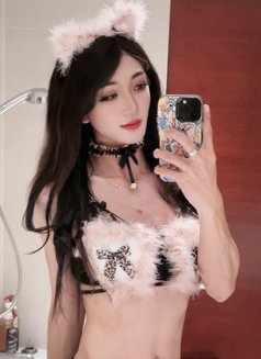sexy ladyboy Natasha - Transsexual escort in Doha Photo 11 of 15