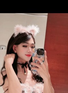 sexy ladyboy Natasha - Transsexual escort in Guangzhou Photo 10 of 10