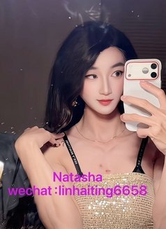 sexy ladyboy Natasha - Transsexual escort in Guangzhou Photo 7 of 12