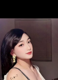 sexy ladyboy Natasha - Transsexual escort in Guangzhou Photo 12 of 12