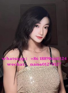 sexy ladyboy Natasha - Transsexual escort in Guangzhou Photo 9 of 11