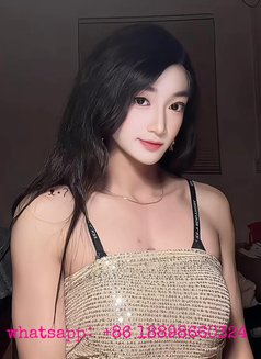 sexy ladyboy Natasha - Transsexual escort in Macao Photo 8 of 12