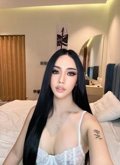 Nana Ladyboy 🇹🇭 - Transsexual escort in Dubai Photo 1 of 14