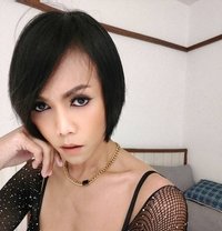 Sexy Ladyboy Versatile - Transsexual escort in Bangkok
