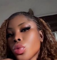 Sexy Latoria Escort - escort in Porto