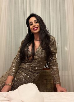 Sexy Ledah - escort in Valenciennes Photo 30 of 30