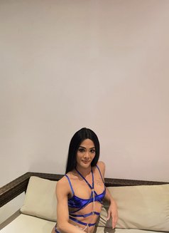 Sexy Leggy Aris - Acompañantes transexual in Pattaya Photo 6 of 17