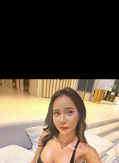 Sexy Leggy Lolita - Transsexual escort in Bangkok Photo 10 of 10