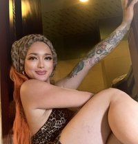 Trans ENVY & SEXY Lexi - Transsexual escort in Hong Kong