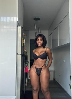 Sexy Liam Erbil - escort in Erbil Photo 4 of 5