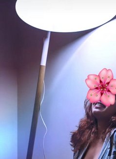 Sexy Lucy Cam Girl - escort in Colombo Photo 2 of 7