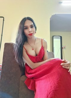 Sexy mallu active shemale - Transsexual escort in Chennai Photo 7 of 12