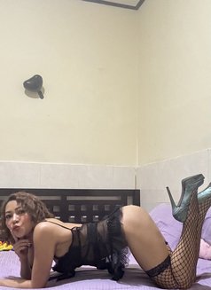 * Sexy Maya * - escort in Bali Photo 10 of 10