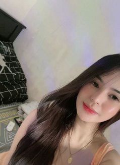 Sexy mich Meet/Cumshow - Acompañantes transexual in Manila Photo 16 of 16